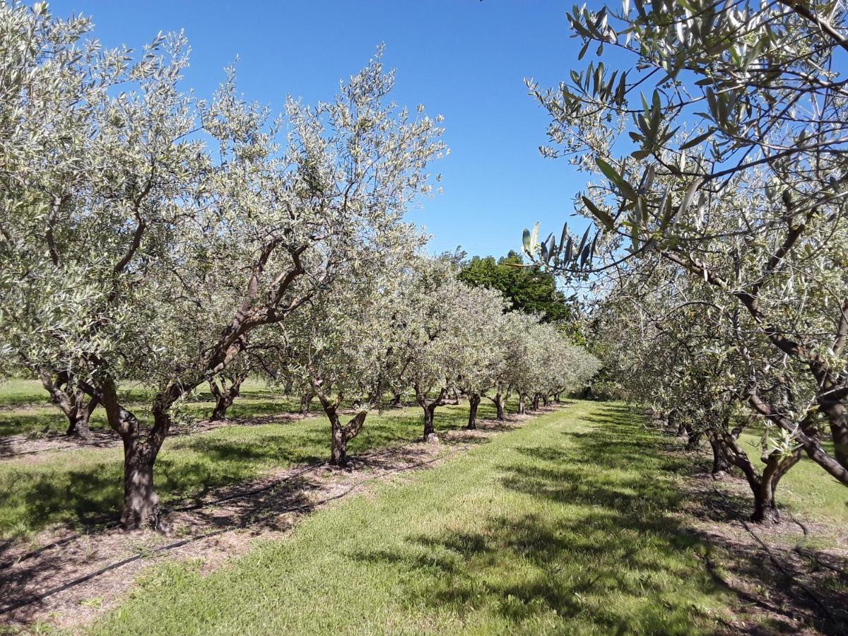 Вілла La Bonbonne En Provence Travaillan Екстер'єр фото