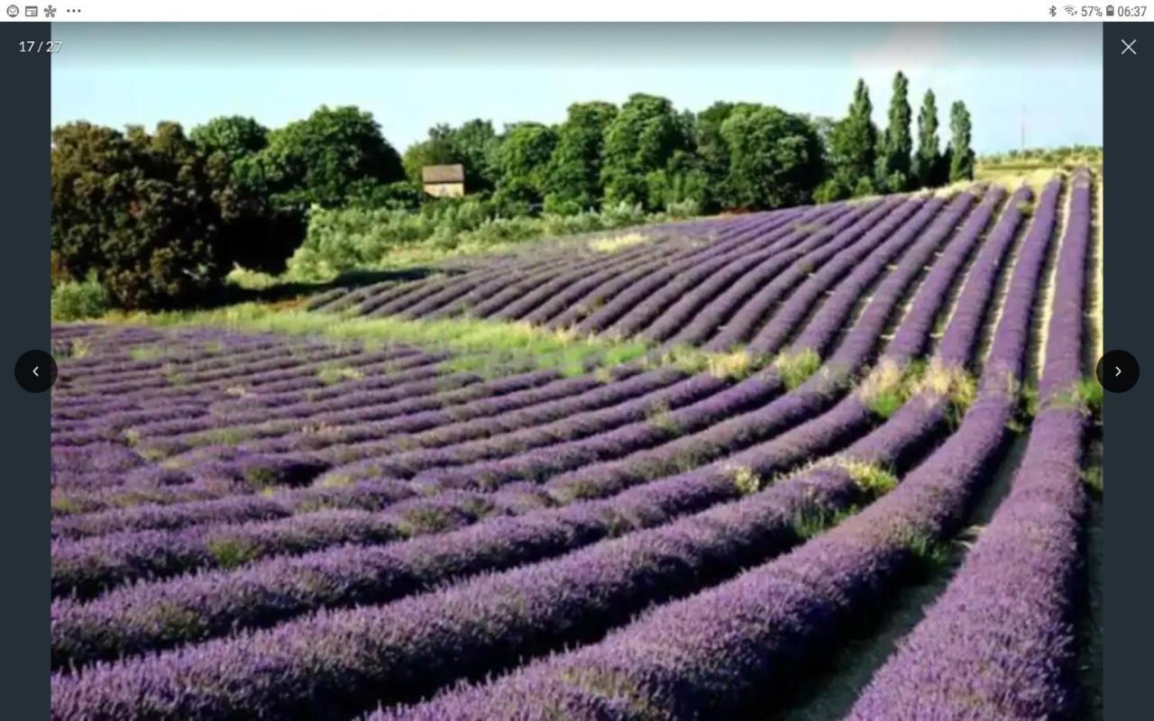 Вілла La Bonbonne En Provence Travaillan Екстер'єр фото