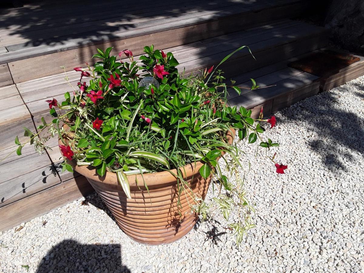 Вілла La Bonbonne En Provence Travaillan Екстер'єр фото